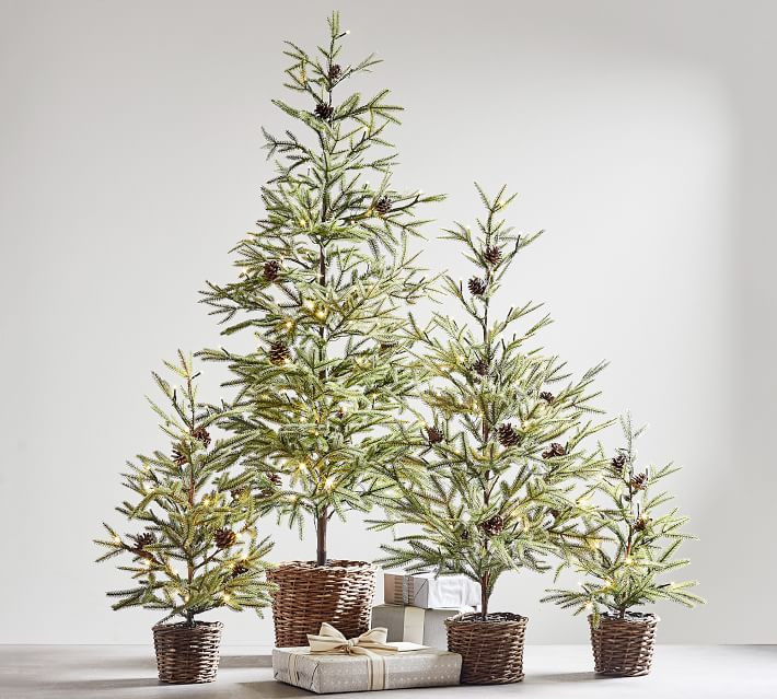 Pre-Lit Faux Pine Trees in Baskets | Pottery Barn (US)