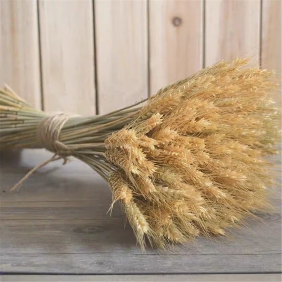 100 stems of dried wheat / ear of wheat / dry flower bouquet / | Etsy | Etsy (US)