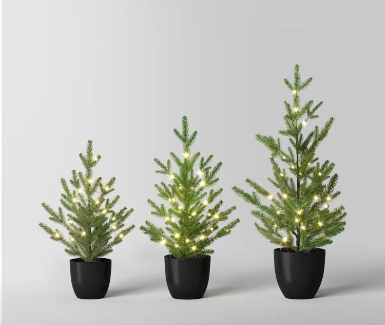 Set of 3 Pre-Lit Potted Mini Artificial Christmas Trees

#LTKHome #LTKHoliday #LTKFindsUnder100