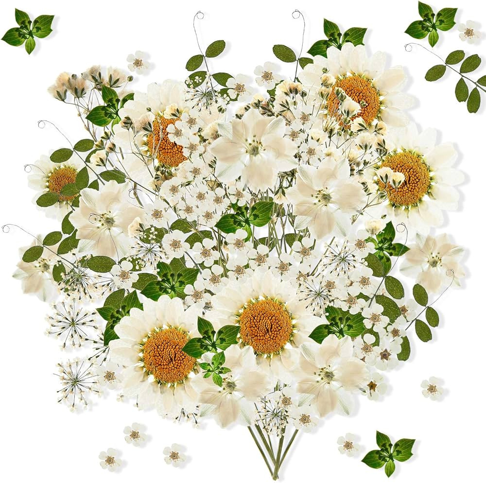 Nuanchu 81 Pieces Pressed Flowers Bulk White Dried Flowers for Resin Mold, Dried Flower Leave Nat... | Amazon (US)