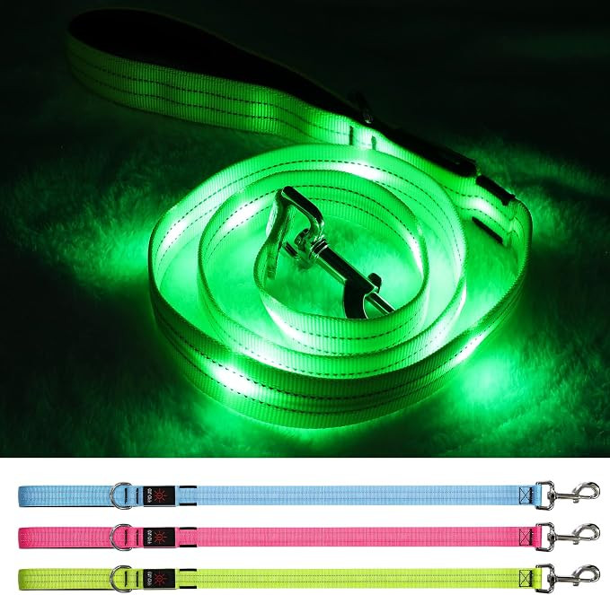 Led Dog Leash, 4 Ft Light Up Dog Leash Rechargeable Waterproof, Nylon Reflective Leashes with Pad... | Amazon (US)