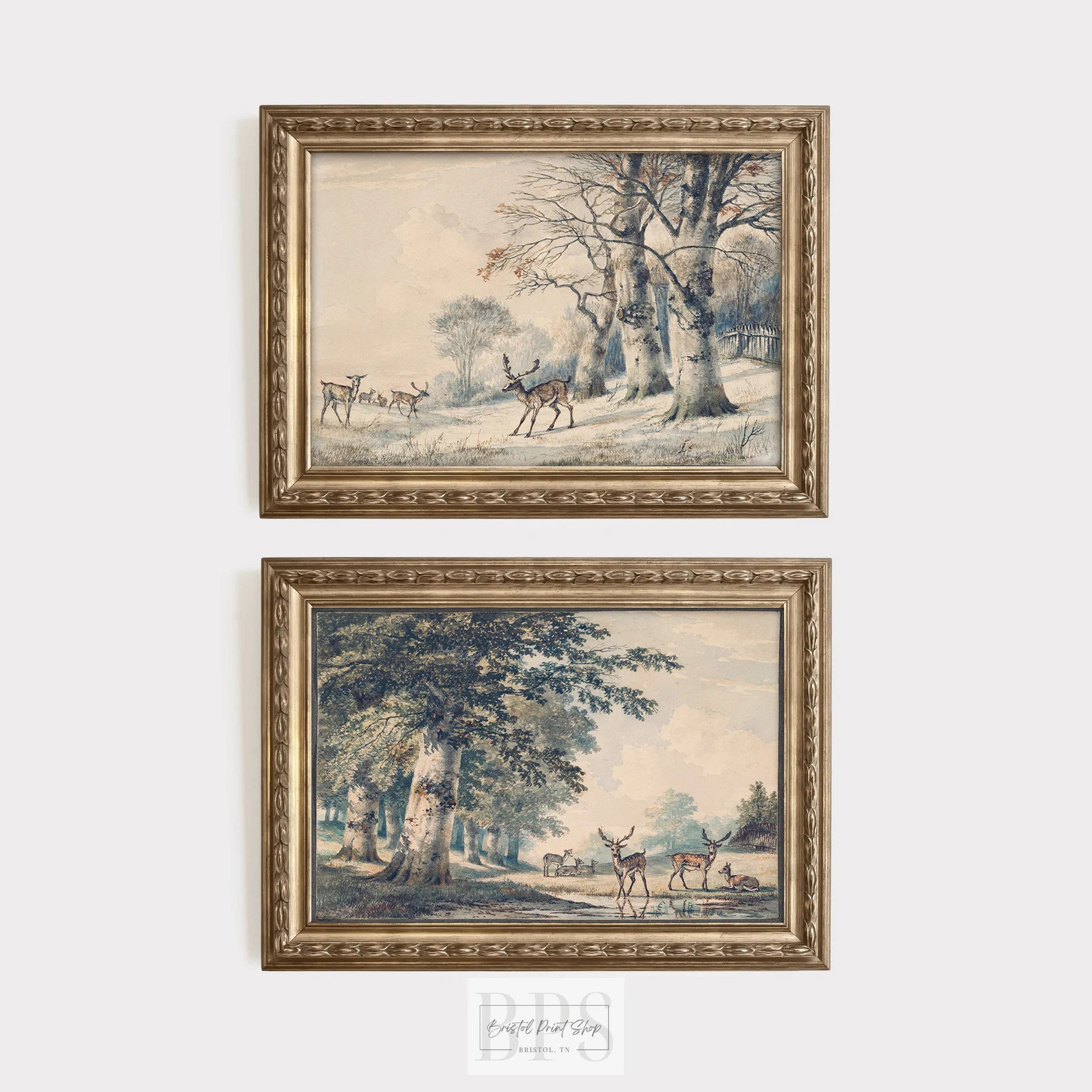 Vintage Deer Summer Winter Set | Beech Tree Forest Art | Woodland Art | 19th Century Watercolor |... | Etsy (Global)