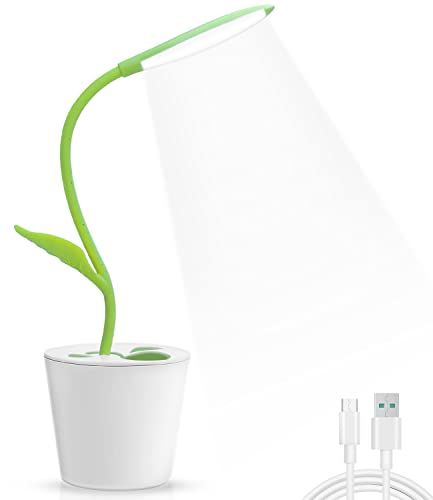 IEGROW cute desk lamp with usb charging port rechargeable boys desk lamps with pen holder Kid Desk L | Amazon (US)