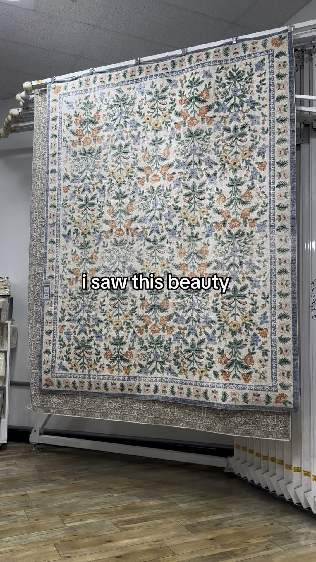 Viral Rifle Paper Co x Eden Mughal Garden Rug on AMAZON 

Amazon rugs, apartment rugs, floral rugs, rugs, Amazon prime, home decor, living room rugs 

#LTKVideo #LTKHome #LTKSummerSales