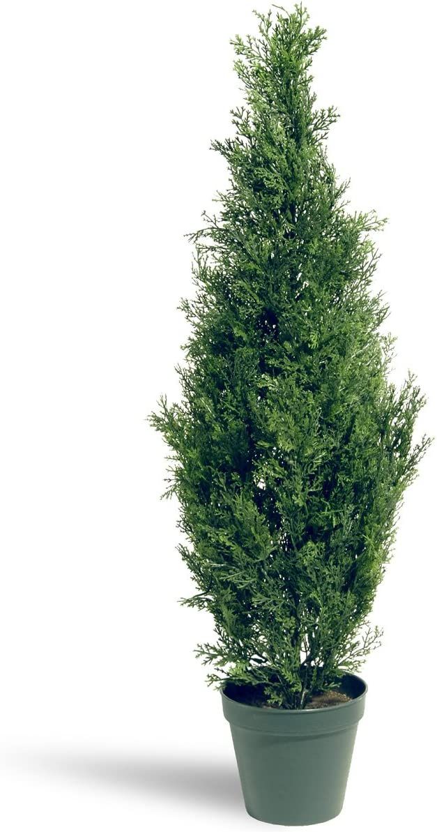 National Tree Company Artificial Shrub | Includes Pot Base | Arborvitae - 36 Inch | Amazon (US)