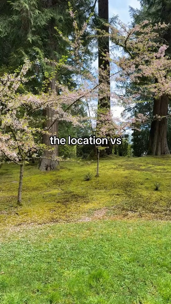 Japanese gardens outfit! 

#LTKMidsize #LTKootd #LTKSeasonal