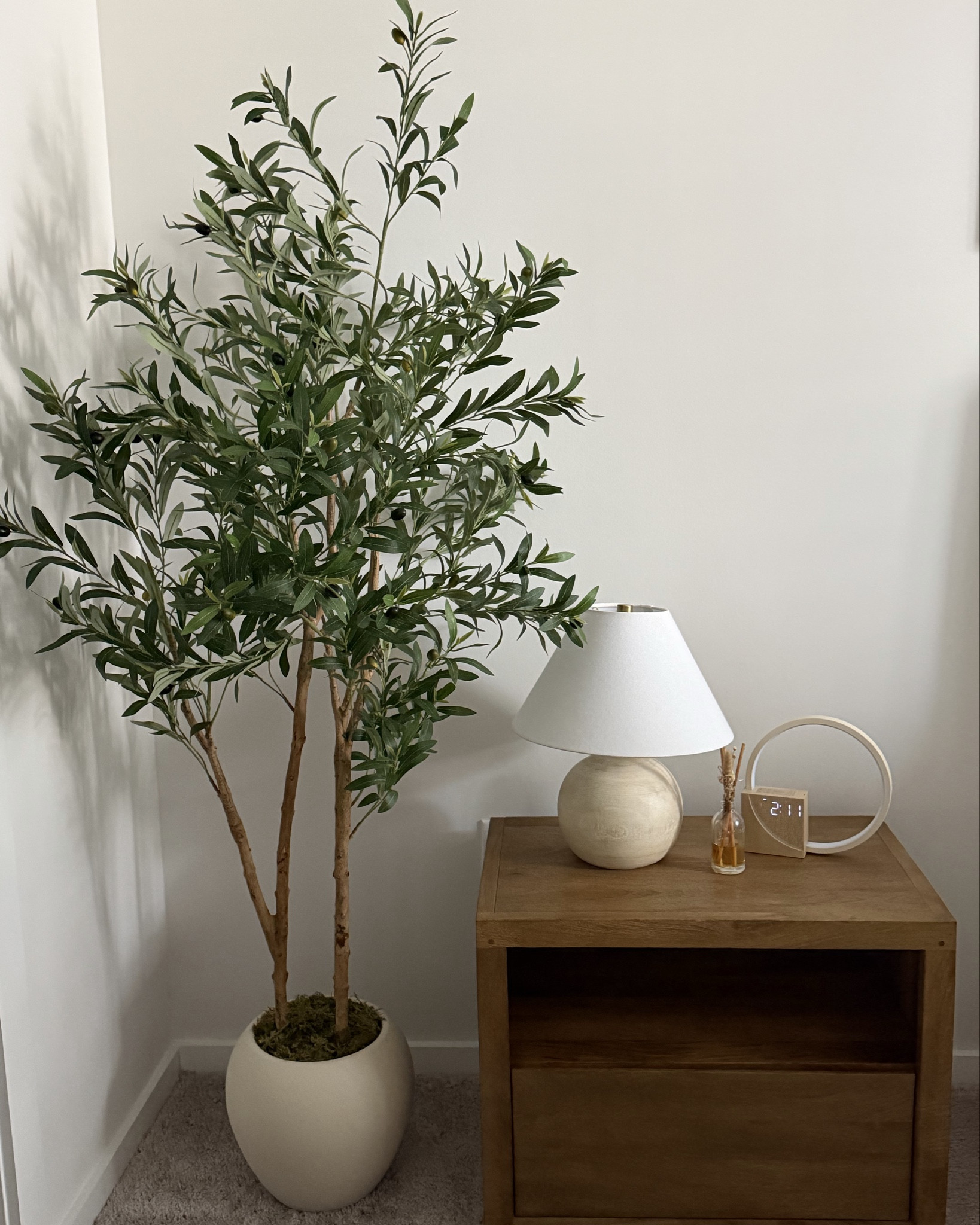 Can you guess what my favorite tree to have in my home is? 🤭

#LTKHome #LTKSeasonal