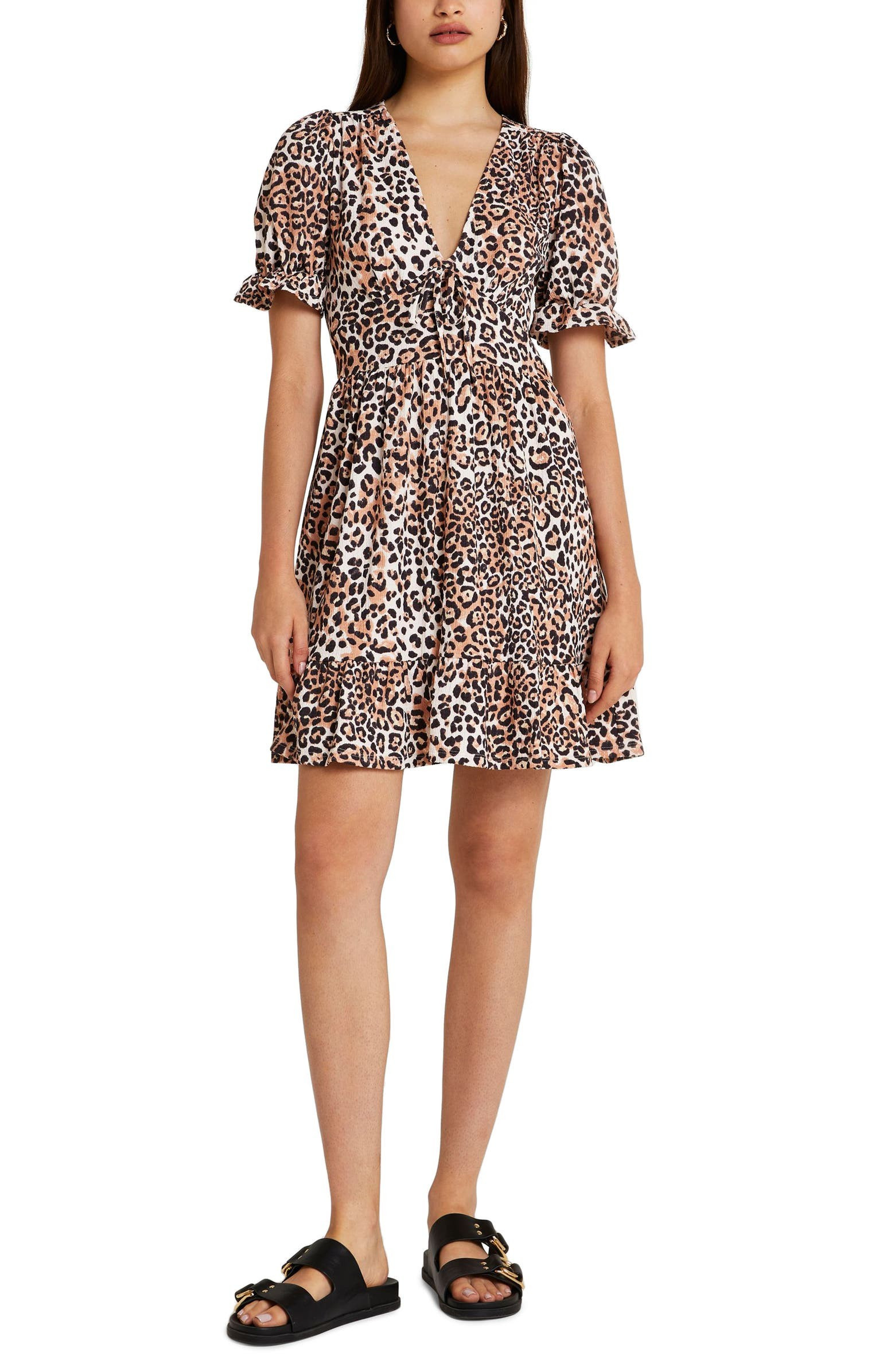 Leopard Print V-Neck Dress | Nordstrom
