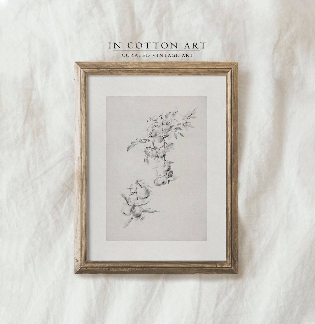Vintage Minimalist Botanical Drawing / Branch Sketch Art PRINTABLE / Antique Etching Farmhouse Wa... | Etsy (US)