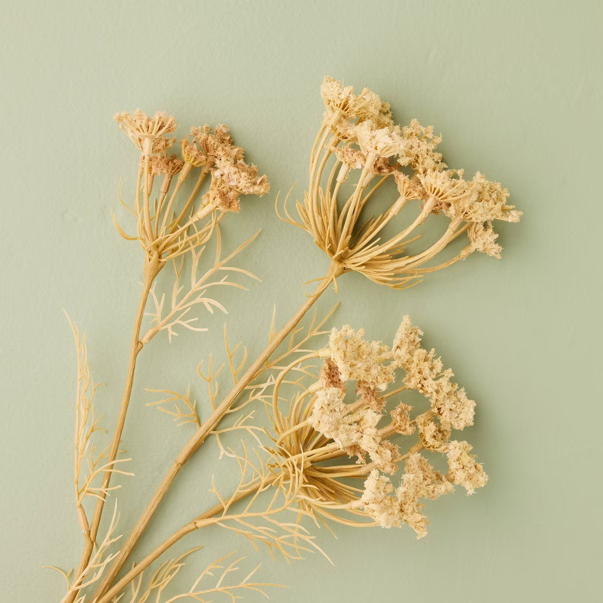 25" Queen Anne's Lace Artificial Stem - Hearth & Hand™ with Magnolia | Target