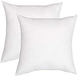 Amazon Basics White Hypoallergenic Decorative Throw Pillow Insert - 20" x 20", 2-Pack | Amazon (US)