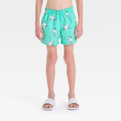 Boys' Bird Printed Swim Shorts - Cat & Jack™ Aqua Green M Husky: UPF 50+, Elastic Waist, Built-in Brief | Target