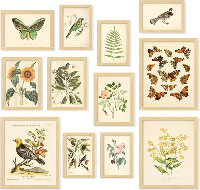 97 Decor Vintage Botanical Wall Art - Vintage Botanical Prints Plant Posters For Room Aesthetic, ... | Amazon (US)
