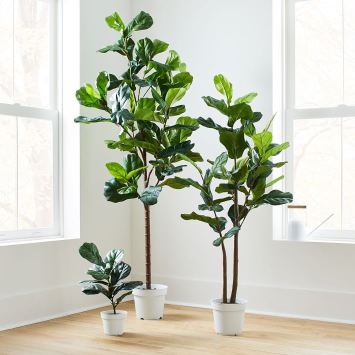 Faux Potted Fiddle Leaf Fig Plant & Trees | West Elm (US)