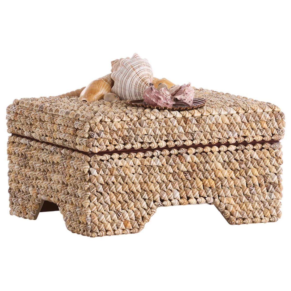 Island Shell Box | The Well Appointed House, LLC