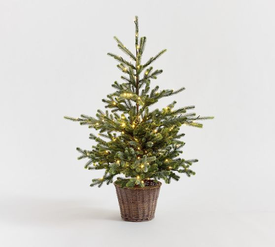 Faux Lit Blue Spruce Tree | Pottery Barn (US)