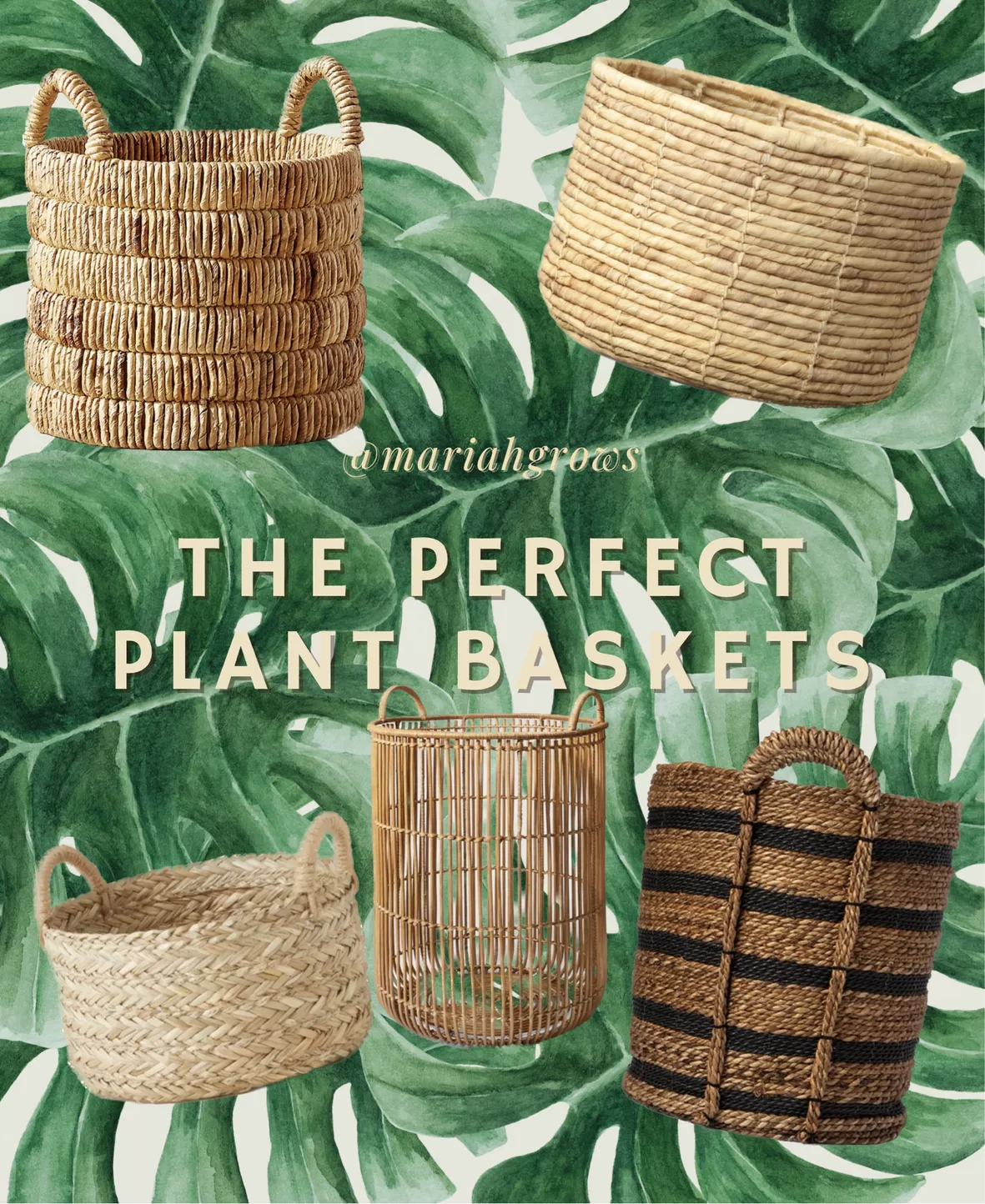 Plant Basket Small Seagrass Planter Baskets for Indoors, Woven Rattan Planters for Tall Indoor Plants with Handles, Wicker Boho Plant Pots