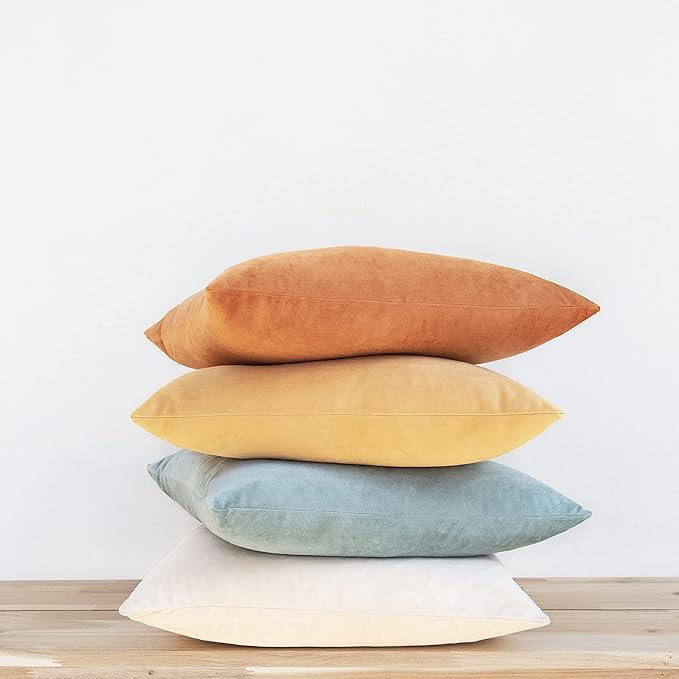MONDAY MOOSE Decorative Throw Pillow Covers Cushion Cases, Set of 4 Soft Velvet Modern Double-Sid... | Amazon (US)