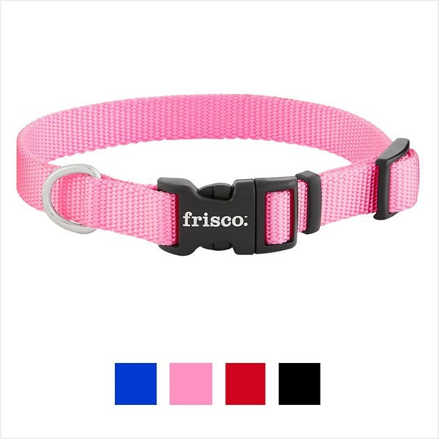 Frisco Solid Nylon Dog Collar, Pink, Small: 10 to 14-in neck, 5/8-in wide | Chewy.com