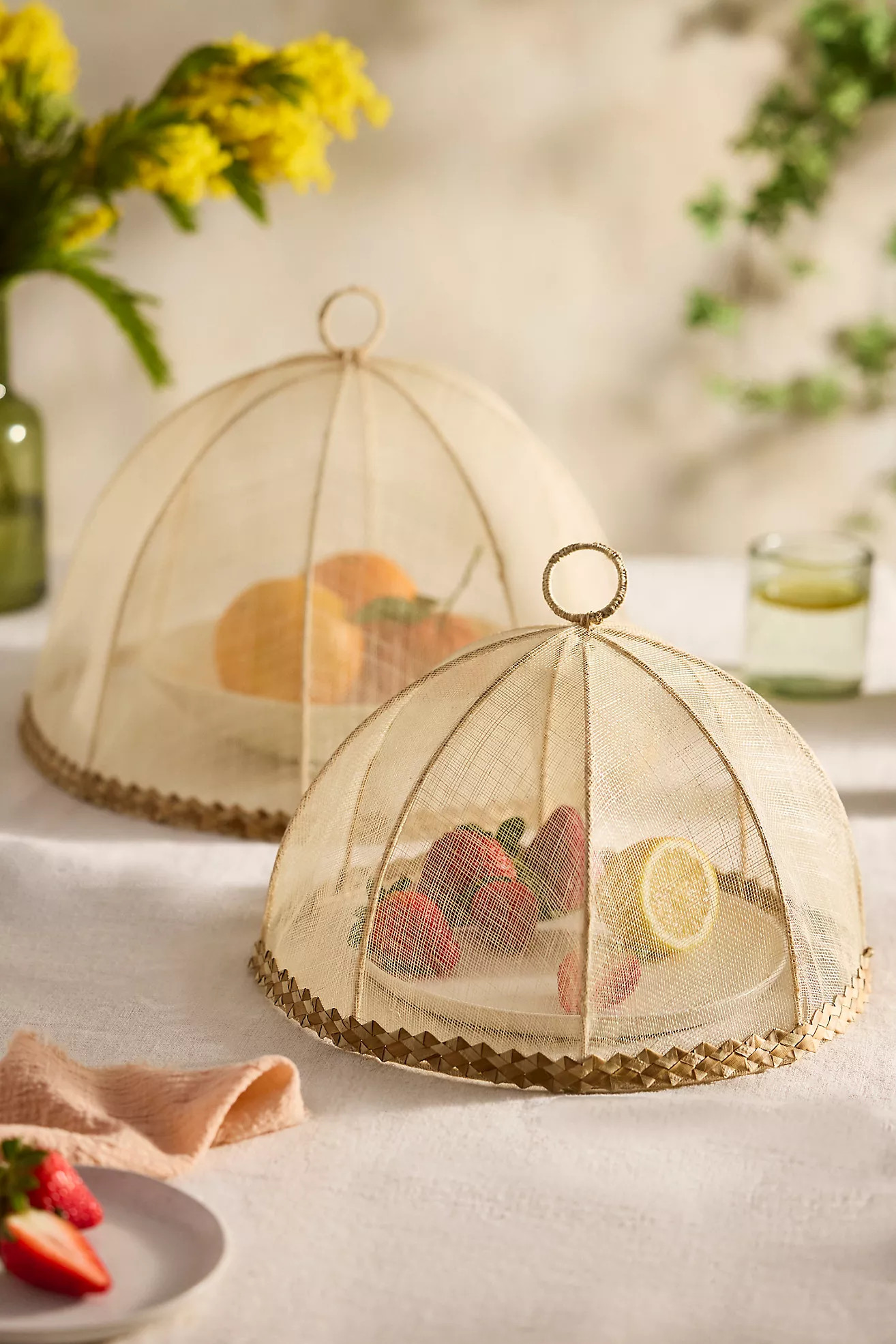Braided Border Dome Food Cover, Natural | Anthropologie (US)