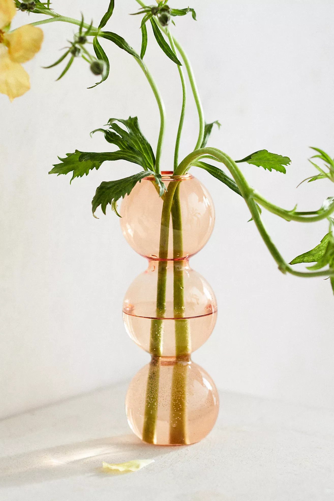 Sunrise Glass Bud Vase, Round | Anthropologie (US)