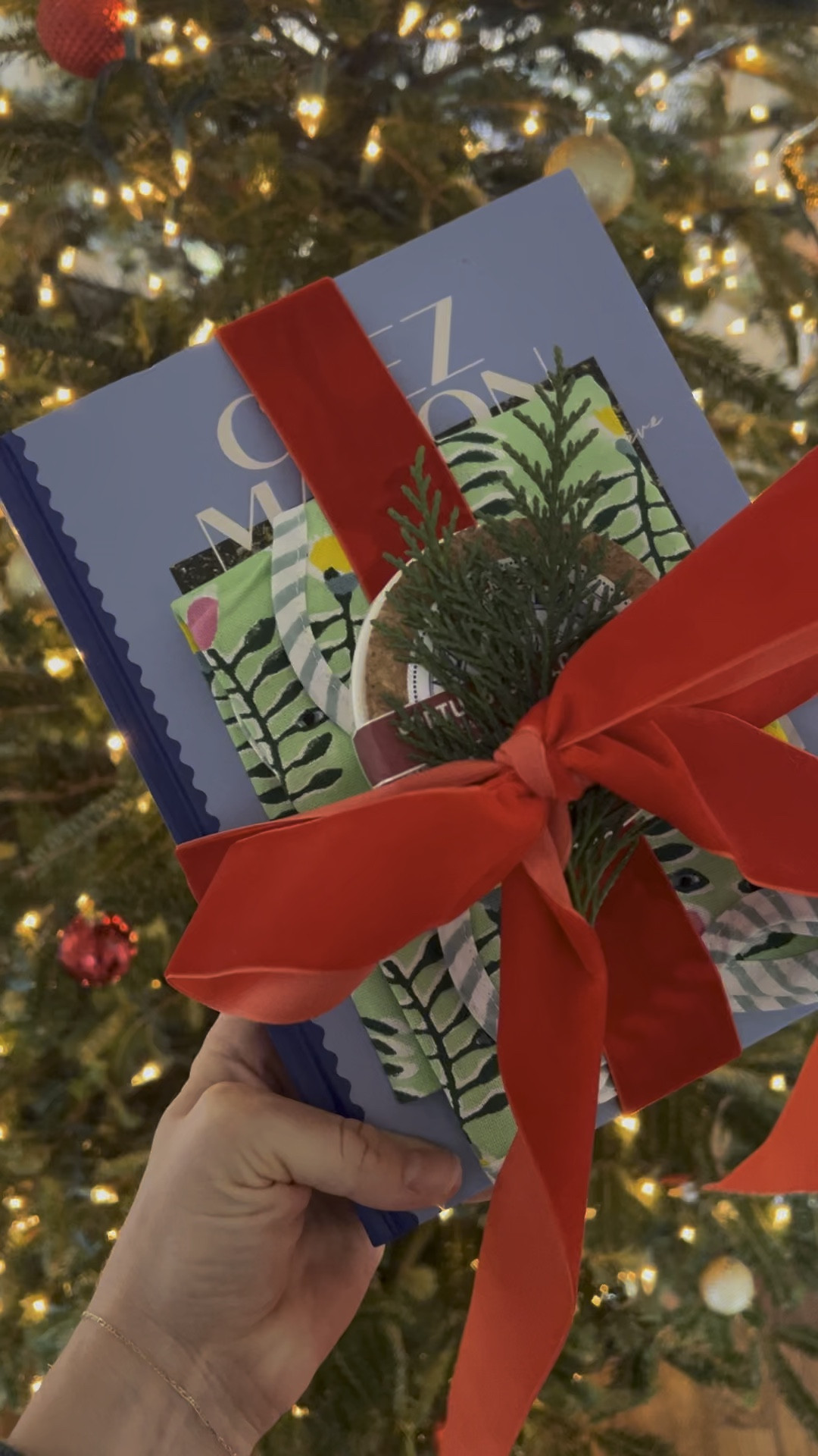 The perfect gift for people who love to eat, host, or watch Emily in Paris! Hostess gift, gift for foodies, Emily in Paris, cookbook, Trader Joe’s, easy gifts, furbish, studio, JCollinscurated

#LTKfindsunder50 #LTKSeasonal #LTKparties