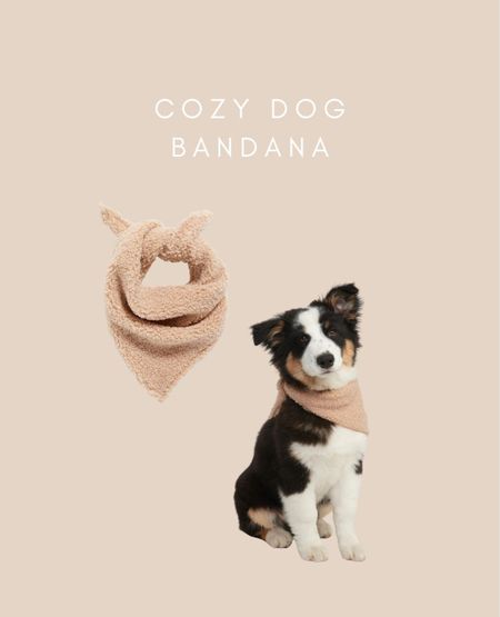 Dog bandana - on sale at Old Navy for $2.78! 

#LTKsalealert