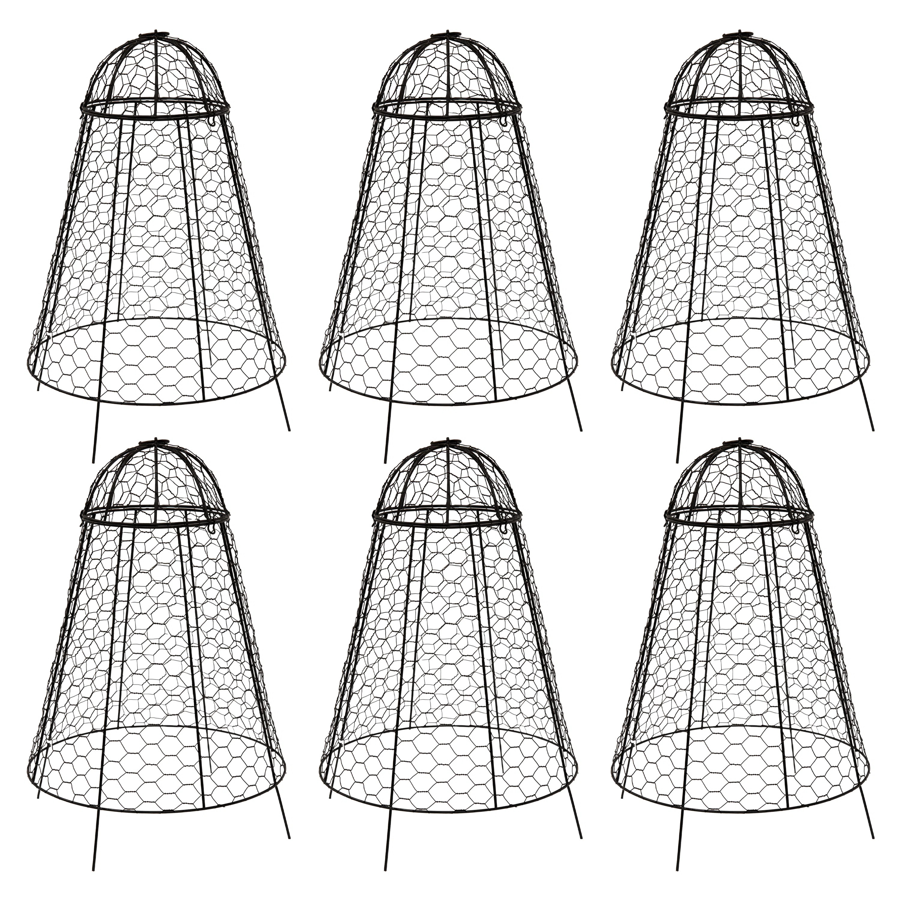 Arlmont & Co. Iron Mesh Cloche Plant Protector with Removable Cover - 6-Pack & Reviews | Wayfair | Wayfair North America