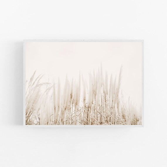 Pampas Grass PRINT, Botanical Art Print, Scandinavian Art Print, Pampas Grass Wall Art, Horizonta... | Etsy (US)