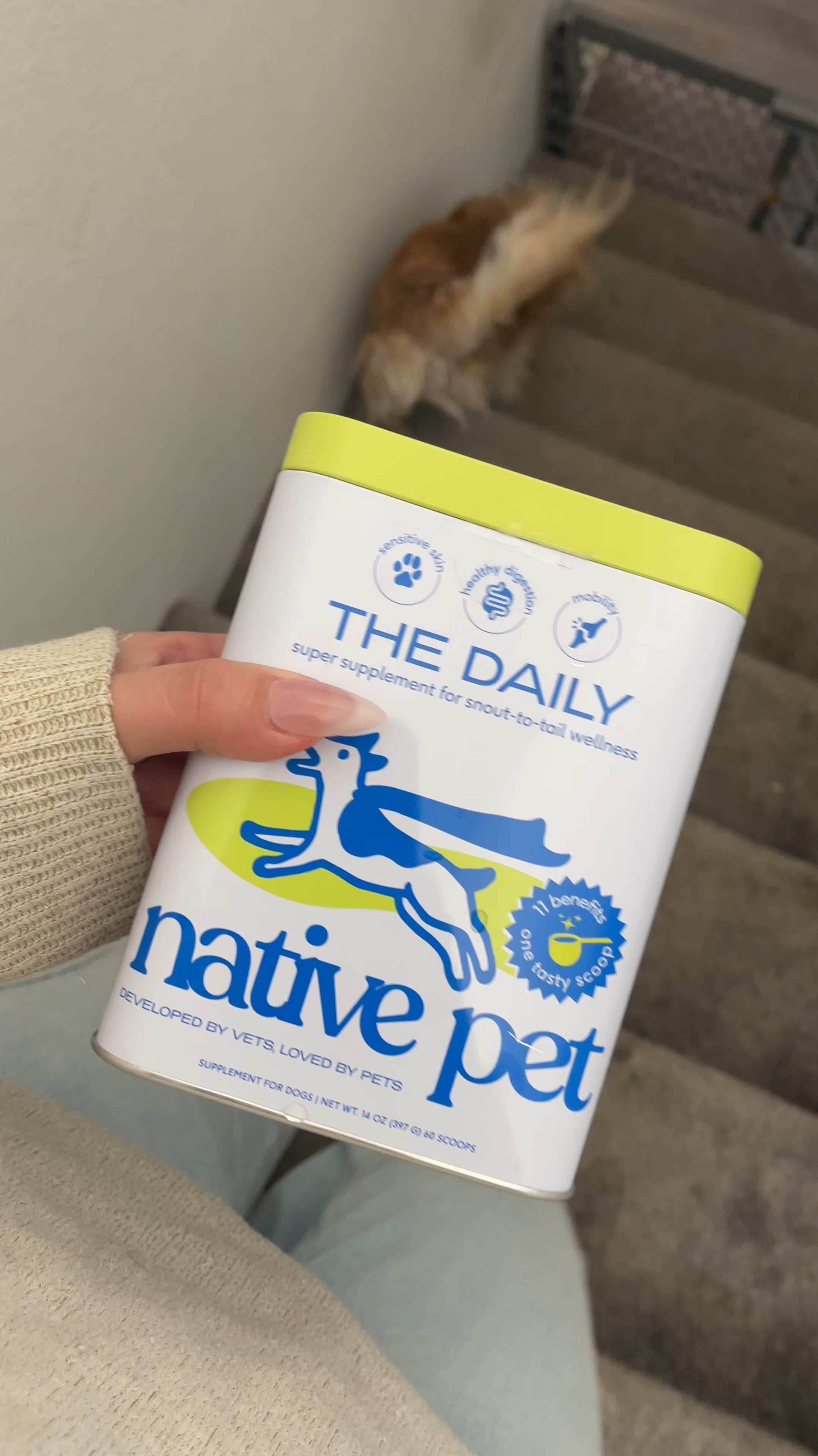 All in one supplement for your dog!

#LTKHome