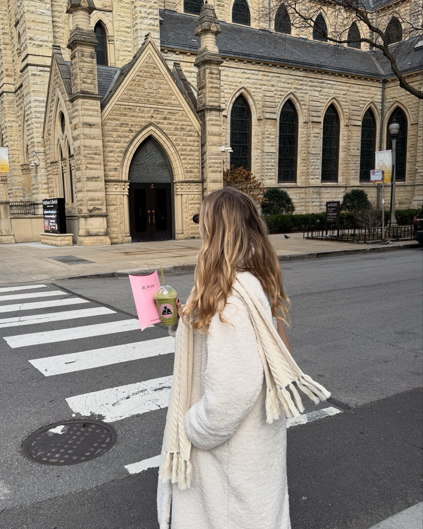 Chicago appreciation post🤍🌲🫶🏻

#chicago #chicagocreator #winterfashion #teddycoat #pinterestinspired #pinterestaesthetic #pinterestgirl #pinterestoutfit