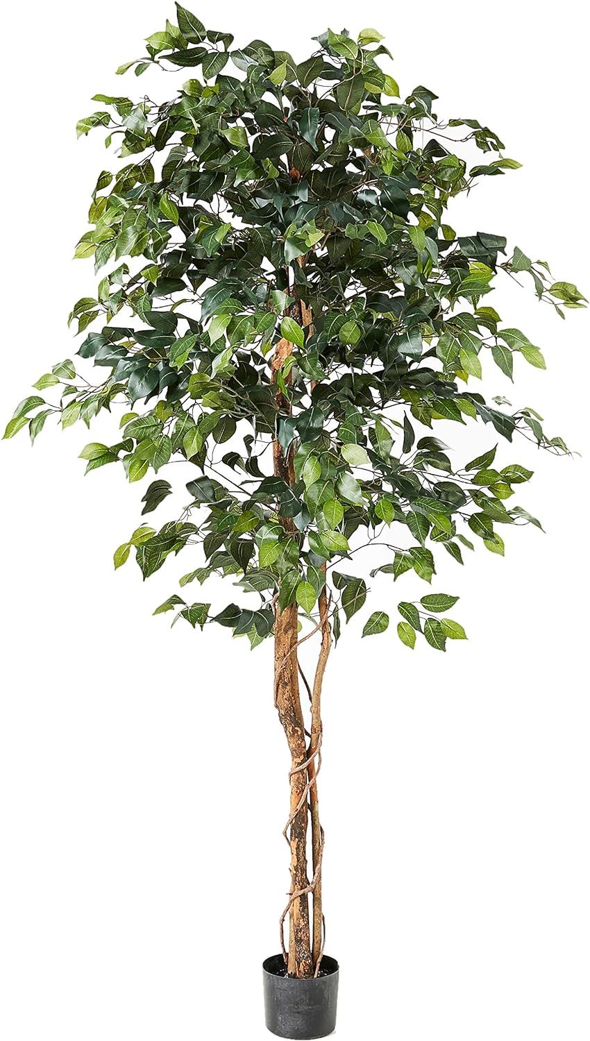 Nearly Natural 6ft. Ficus Artificial Trees, 72in, Green | Amazon (US)