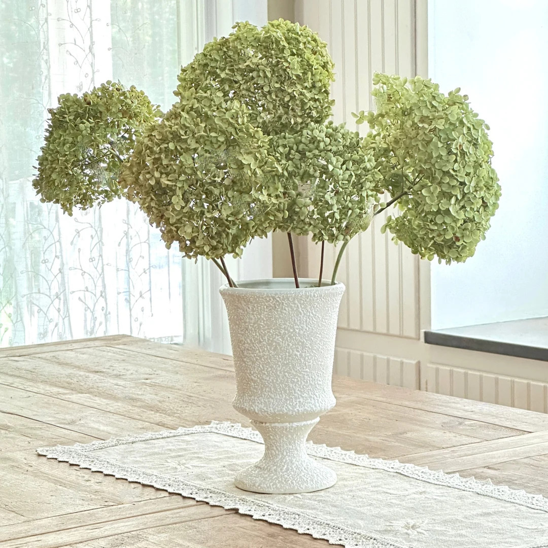 Dried Annabelle Hydrangeas: Beige & Green Blooms, Farmhouse Decor - Etsy | Etsy (US)