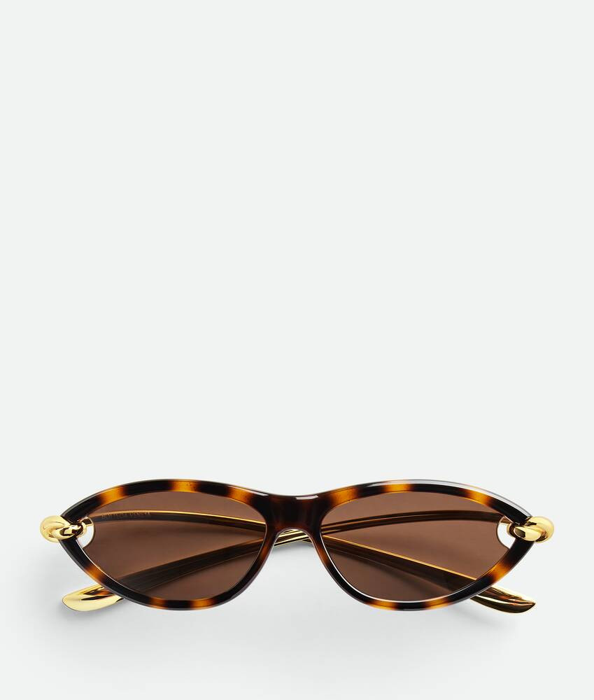 Knot Cat Eye Sunglasses in Havana/gold/brown | Bottega Veneta US | Bottega Veneta