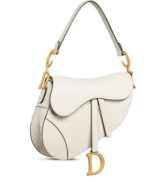 Saddle Bag - DIOR | 24S US
