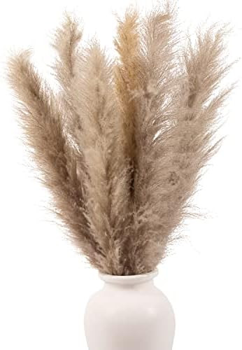 Sunshine Marigolds Large Pampas Grass 2021 Best Award Jumbo Extra-Fluffy Plumes Room Decor Dried Pam | Amazon (US)