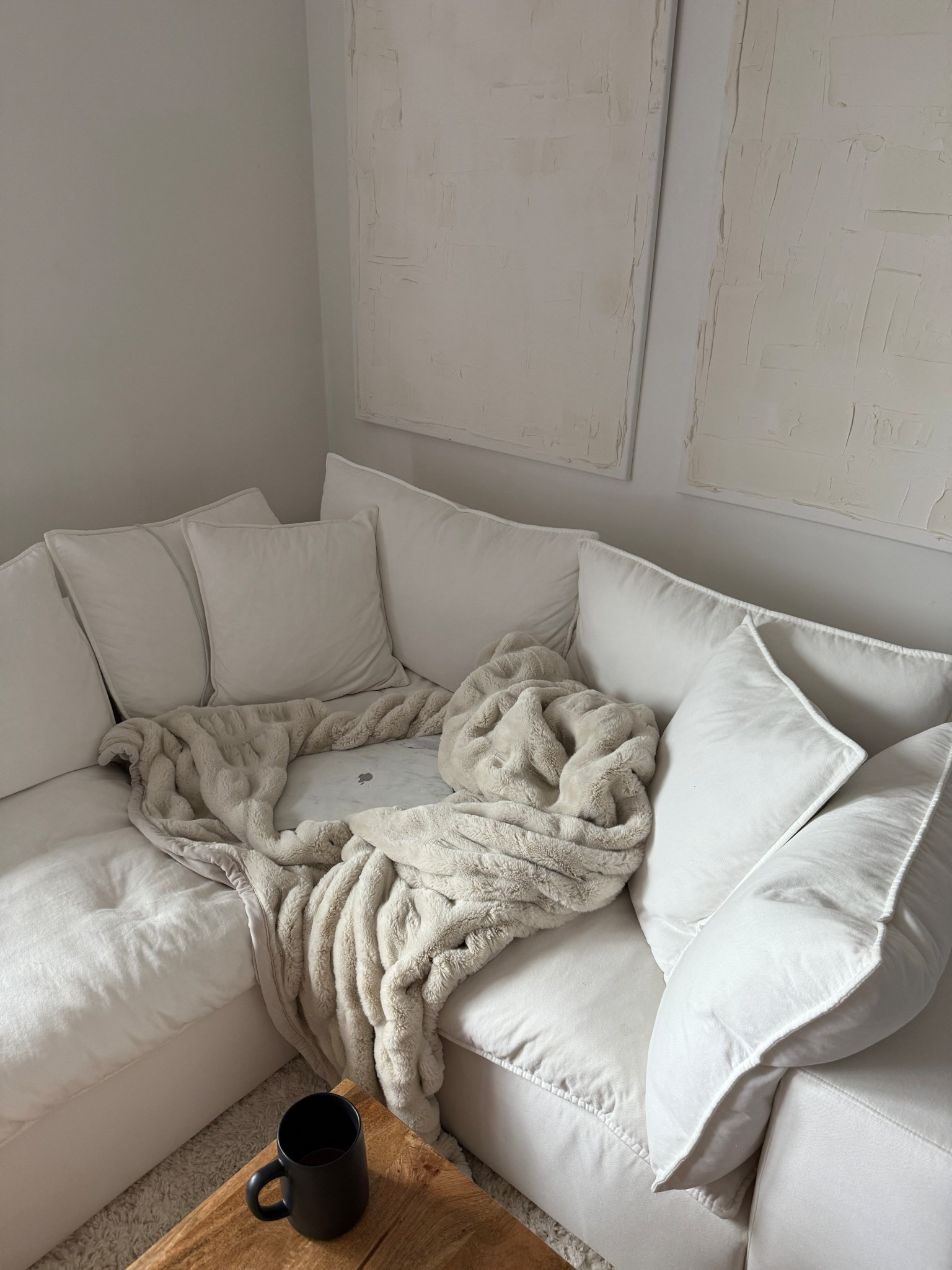 The comfiest blanket 

#LTKHome