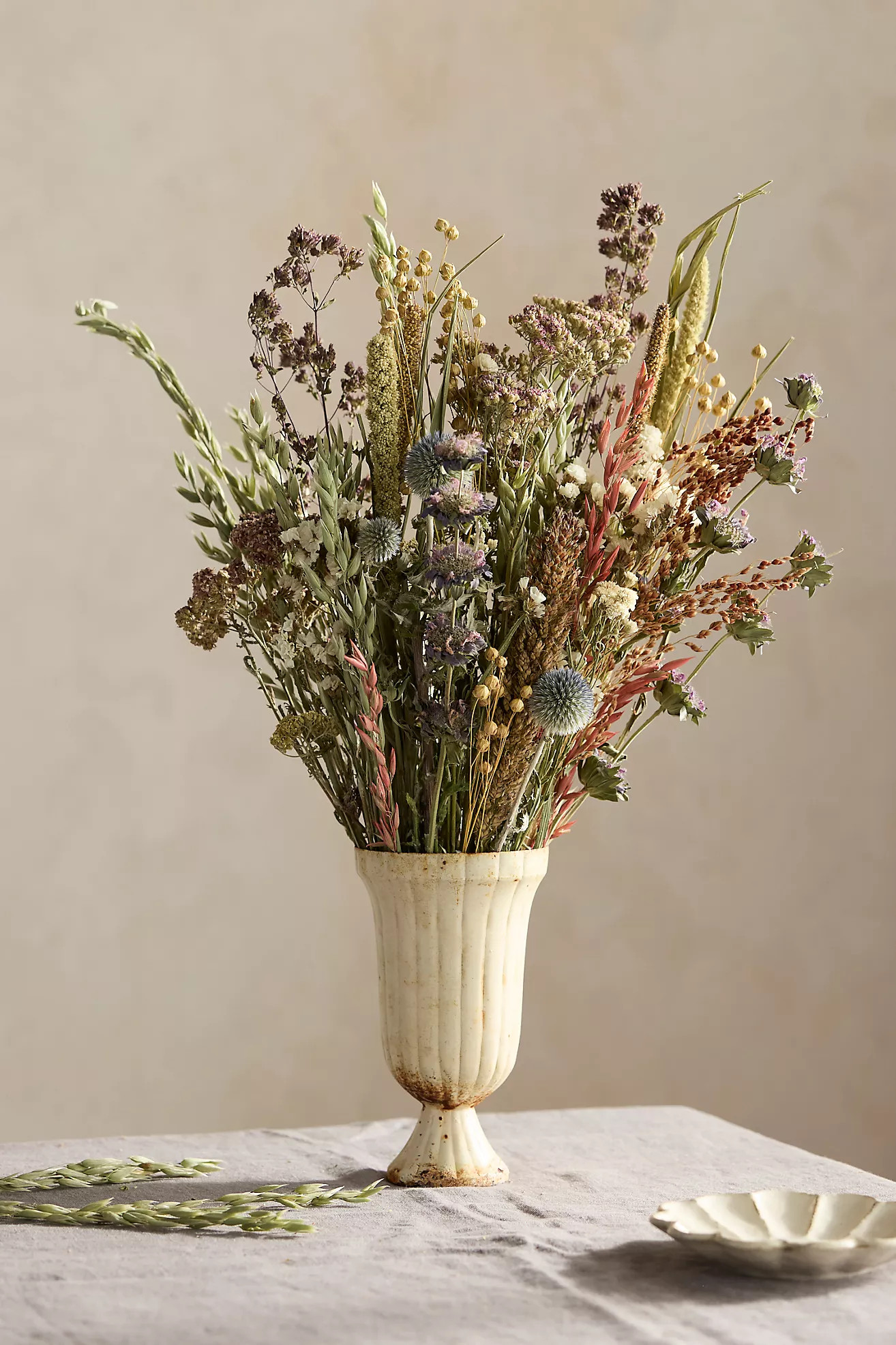 ASSORTED | Anthropologie (US)
