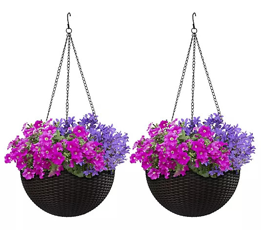 Sorbus Hanging Planter Round-Espresso Brown (Large, 2-Pack) - QVC.com | QVC