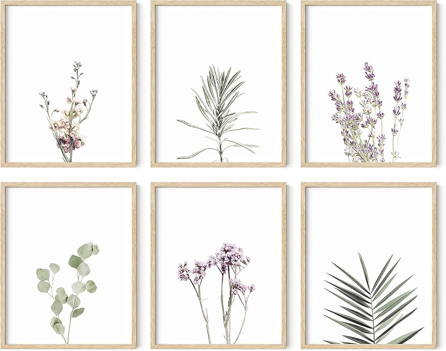 HAUS AND HUES Floral Prints and Plant Posters Set of 6 Botanical Prints Set and Floral Wall Art |... | Amazon (US)