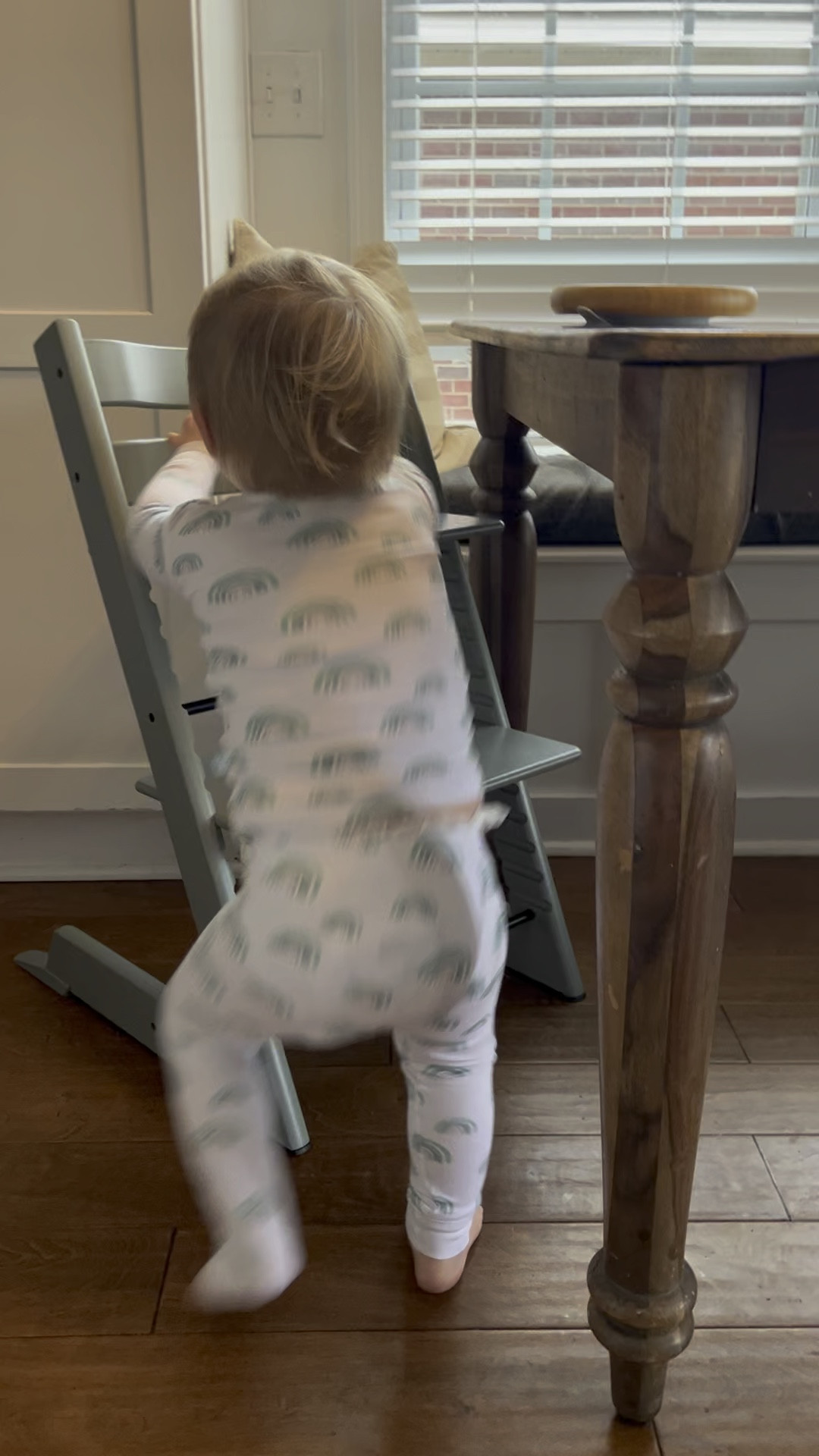 One of the BEST purchases of my starting solids journey were these Stokke. They grow with your kiddo, are so easy to clean, super adjustable, and 100% worth the money! 

#LTKfamily #LTKbaby #LTKkids