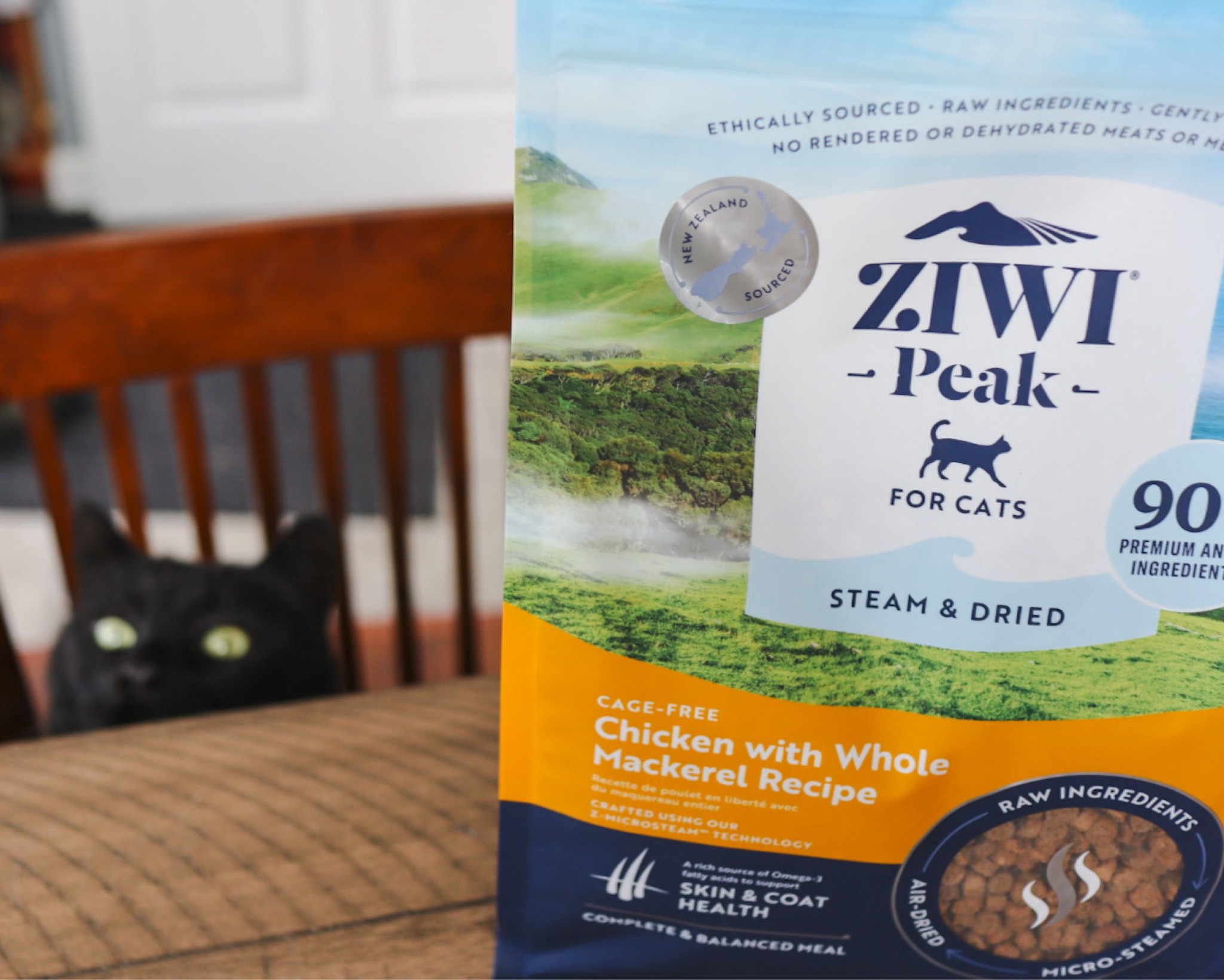 👀 #cats #ZIWIPeak 