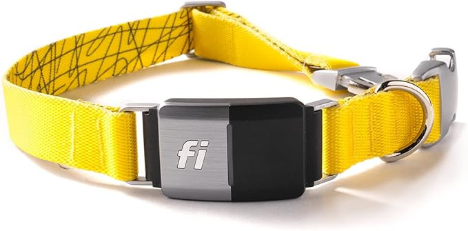 Fi Smart Dog Collar - GPS Dog Tracker and Activity & Fitness Monitor, Waterproof, LED Light, Esca... | Amazon (US)