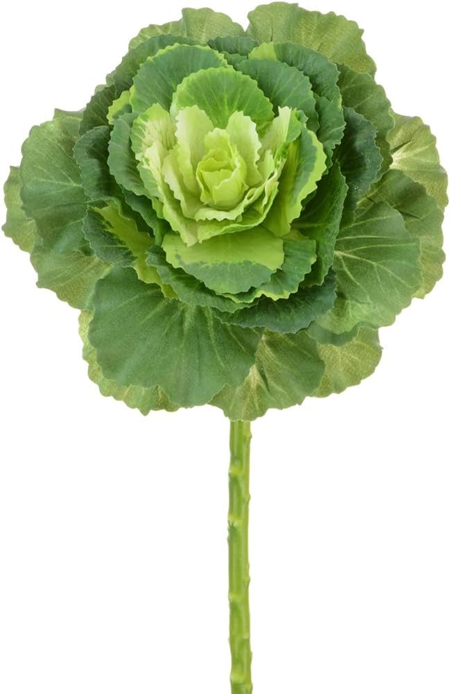 Floristrywarehouse Artificial Brassica Ornamental Cabbage Stem 18 Inches Green | Amazon (US)
