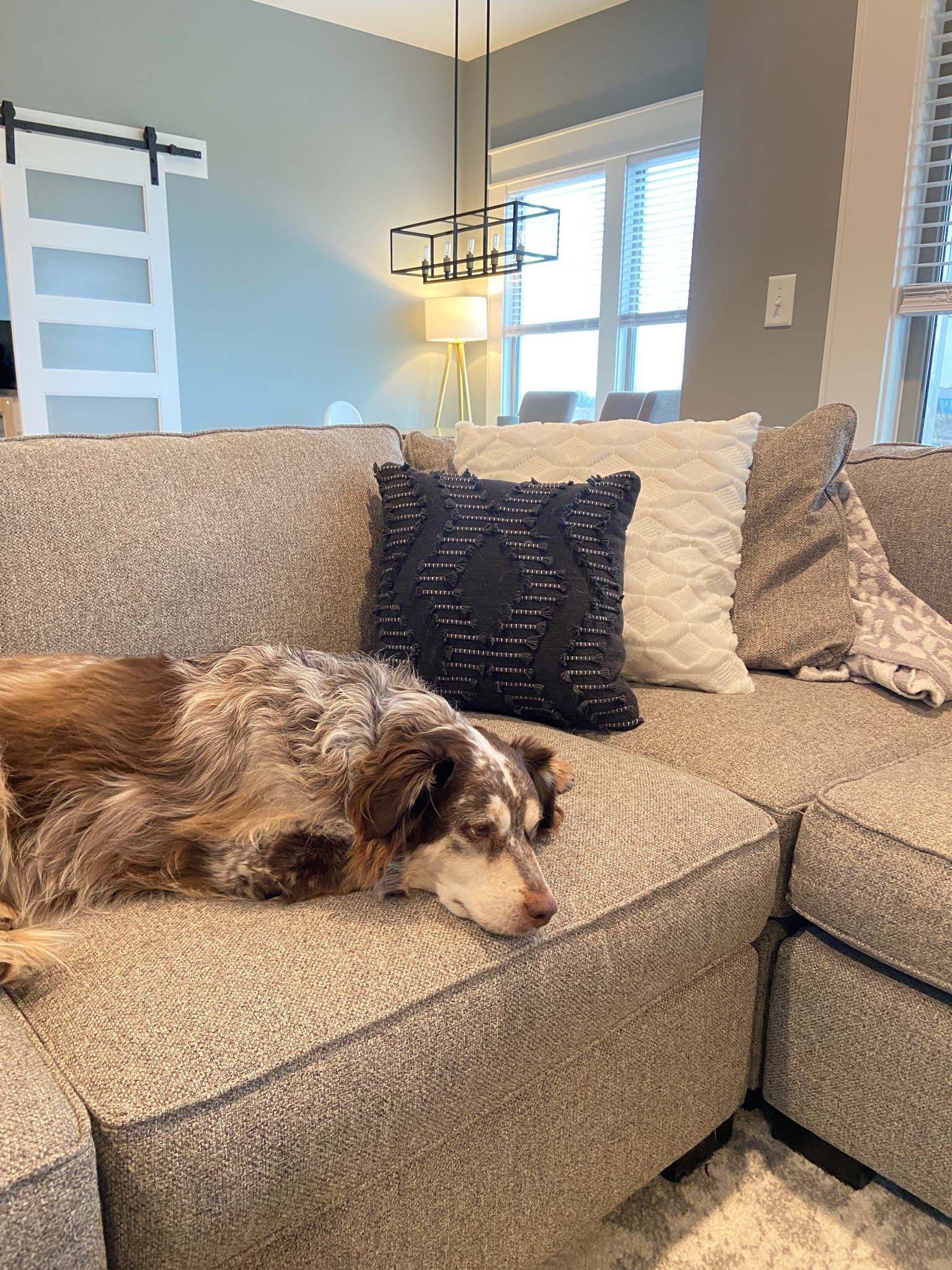 Affordable throw pillows and pillow covers 

#LTKfamily #LTKhome #LTKunder50