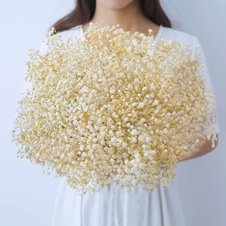 beerfingo Dried-Flowers-Babys-Breath-Bouquet-17.2 inch 2500+ Ivory White Flowers, Natural Gypsoph... | Amazon (US)