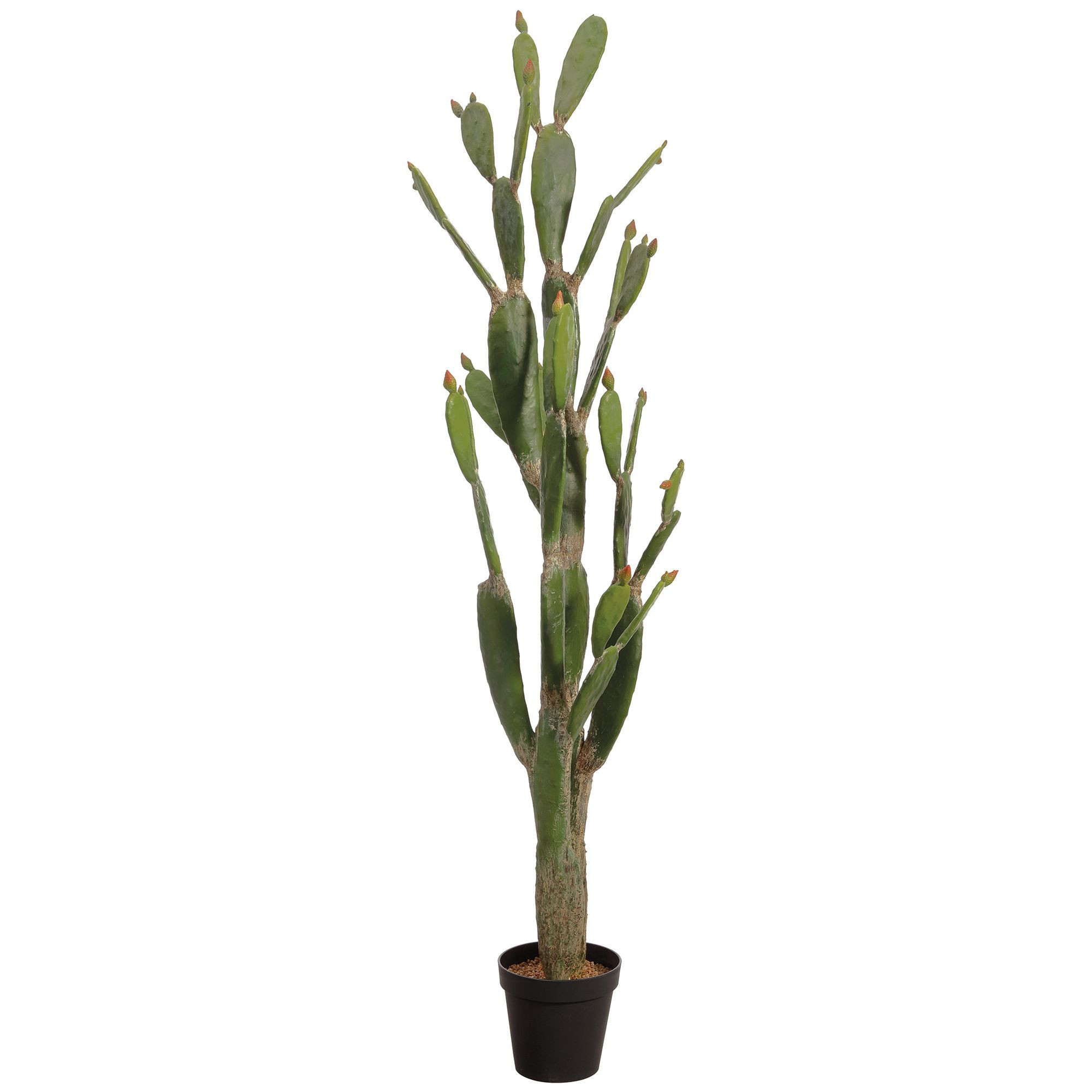 Faux Potted Bunny Ear Cactus | West Elm (US)