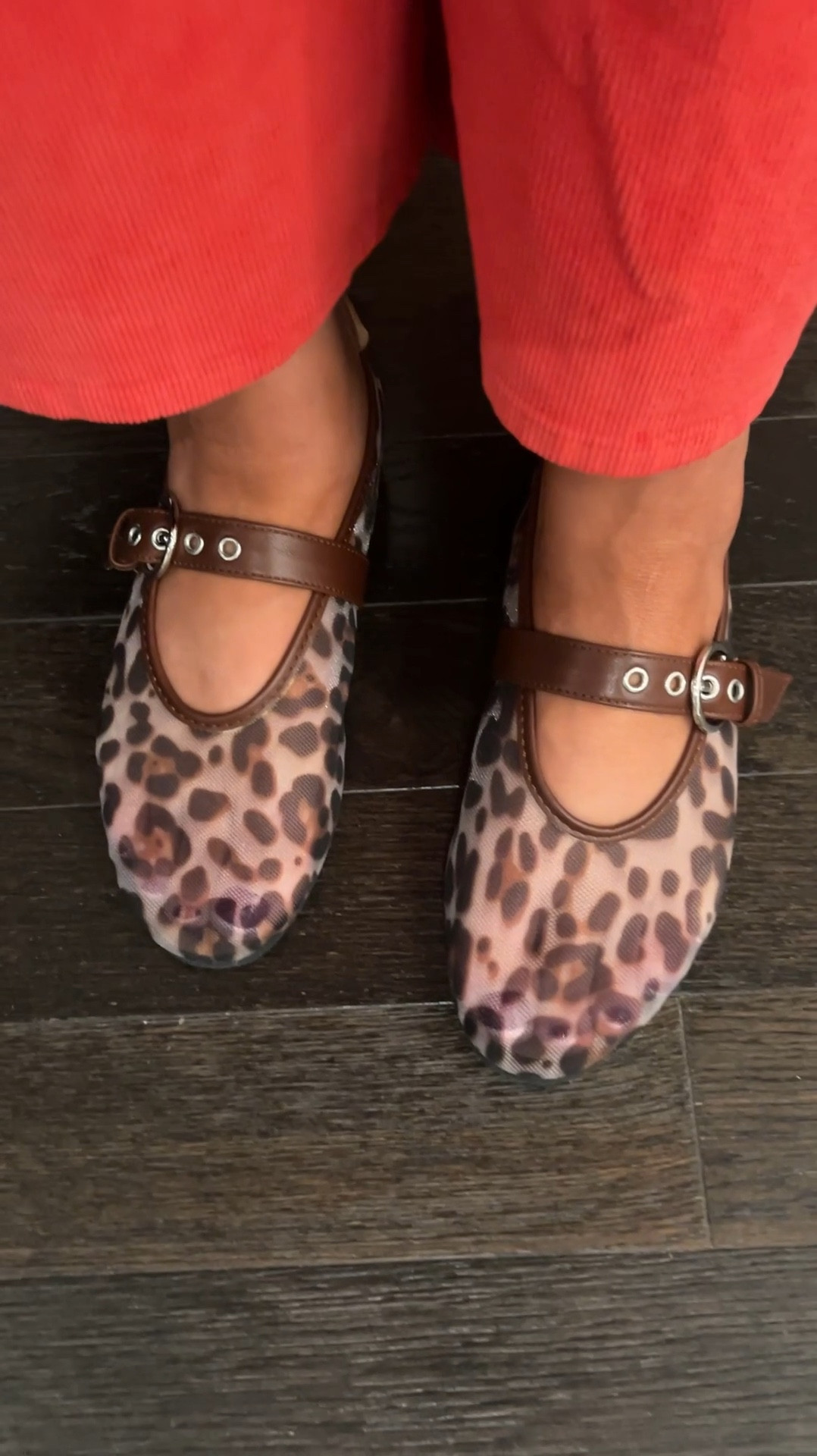 Mesh Leopard Ballet Flats with Brown Buckle // TTS // Amazon

#amazon #amazonfashion amazon finds, amazon find, amazon style, amazon fashion, amazon clothing, amazon outfit, found it on amazon, amazon fashion finds, amazon summer, amazon spring, amazon fall, amazon winter, amazon outfit inspo, amazon outfit inspiration, amazon curves, amazon curvy, curvy amazon, midsize amazon, amazon midsize, amazon ootd, amazon shopping, new on amazon #ballet #flats #balletflats #workwear ballet flats, cute ballet flats, cute flats, affordable ballet flats, ballet flats under $30, ballet flats under $50, outfit with ballet flats, how to style ballet flats, ballet flats outfit, ballet flats style, ballet flats inspo, ballet flats ootd, ballet flats look, casual ballet flats, comfortable shoes, footwear, comfortable footwear #leopard #print leopard print, leopard, leopard outfit, outfit with leopard, leopard belt, leopard shoes, leopard boots, leopard handbag, leopard purse, leopard bag, leopard accept, animal print, leopard inspiration, leopard outfit inspiration, leopard inspo, leopard pattern, animal print pattern, leopard shirt #fall #ootd #outfit #seasonal #autumn #sweater #boots Fall outfit, seasonal outfit, fall fashion, fall style, fall outfit ideas, fall outfit inspo, fall outfit inspiration, styling for fall, styling fall outfits, autumn style, autumn fashion, autumn ootd, autumn outfit, fall tops, fall boots, fall sweater, fall sweaters, fall look, fall looks, fall inspo, fall inspiration, fall styling, fall ootd, ootd fall, fall midsize, fall curvy, fall photos #neutral #neutrals #neutraloutfit #neatraloutfits #neutrallook #neutralstyle #neutralfashion #neutraloutfitinspo #neutraloutfitinspiration 

#LTKVideo #LTKShoeCrush #LTKFindsUnder50