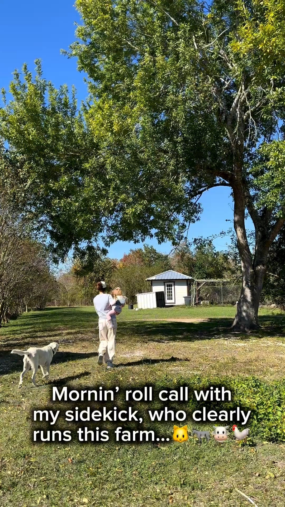 Morning VLOG with my baby girl, letting all the farm animals out to graze! Wearing a small sweatshirt, XS pants & my rain boots run TTS.

#LTKdayinmylife #LTKvlog #LTKmomlife