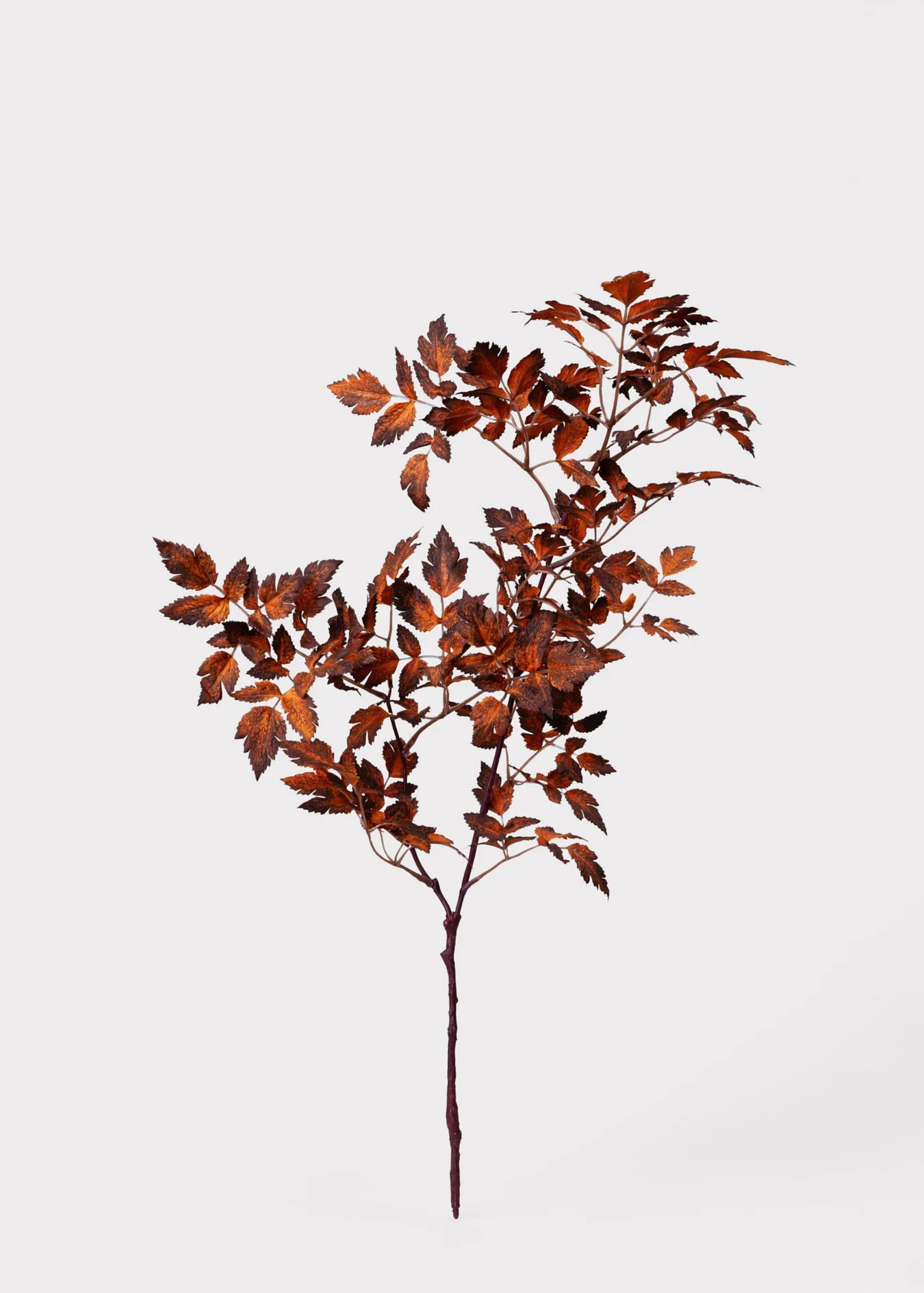 Faux Brown Cimicifuga Spray | Artificial Fall Leaves | Afloral | Afloral